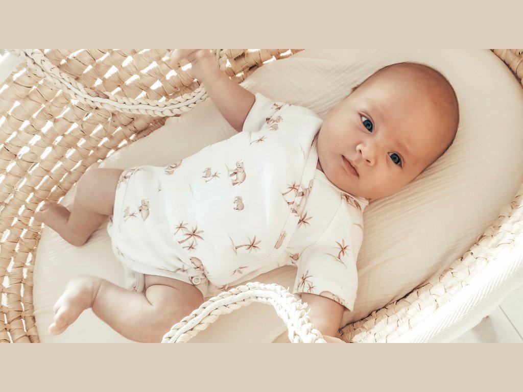 Body cotone organico manica corta 56cm ELEPHANTS